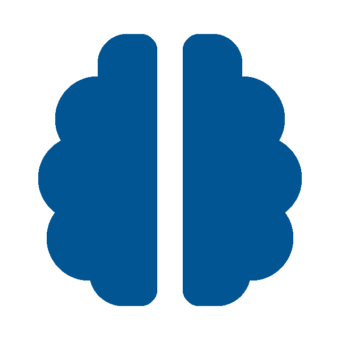 brain-solid Mental Health Icon